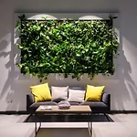 Boca Boutique Hotel